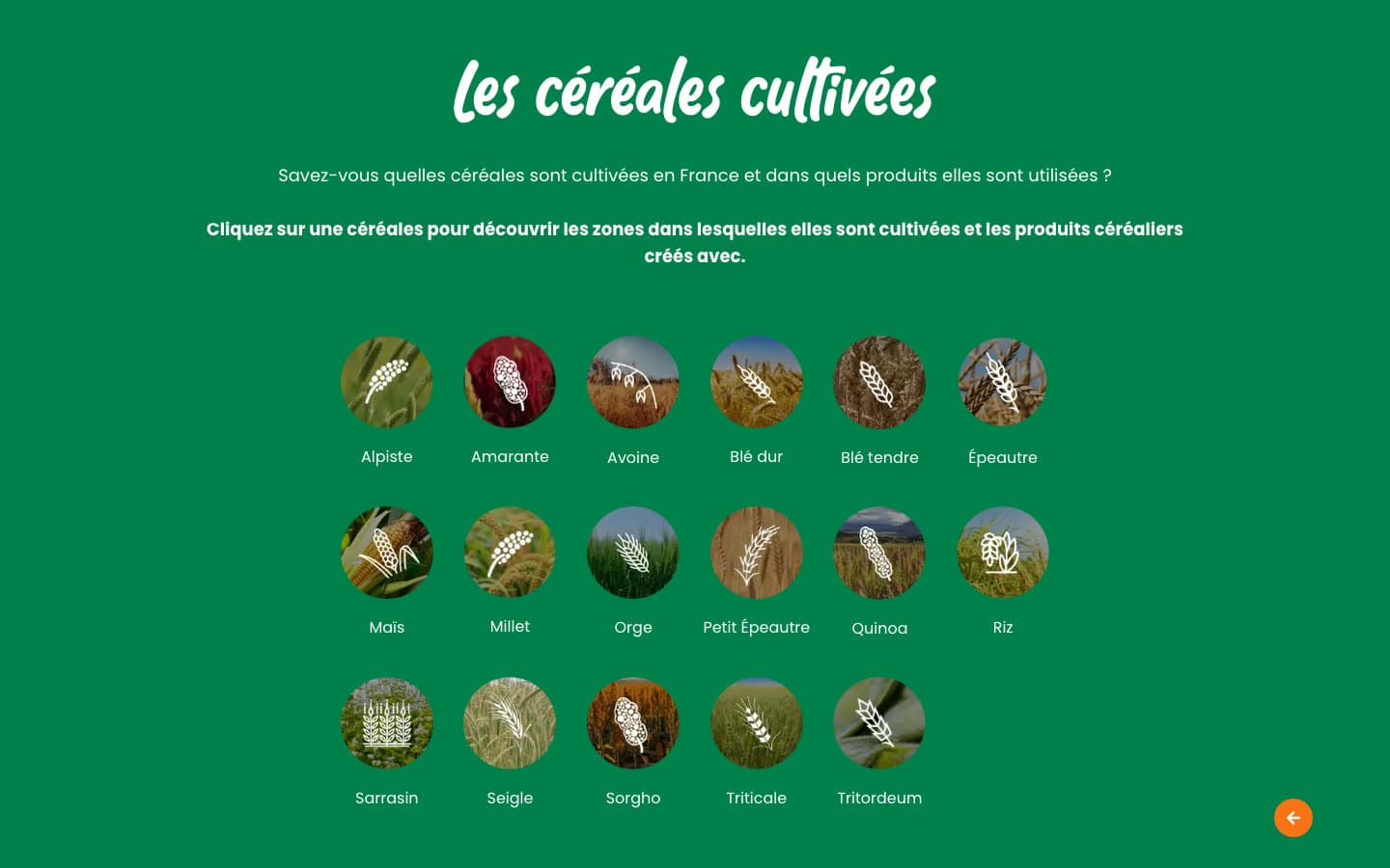 Grille des 17 céréales cultivées en France, de l’alpiste au tritordeum