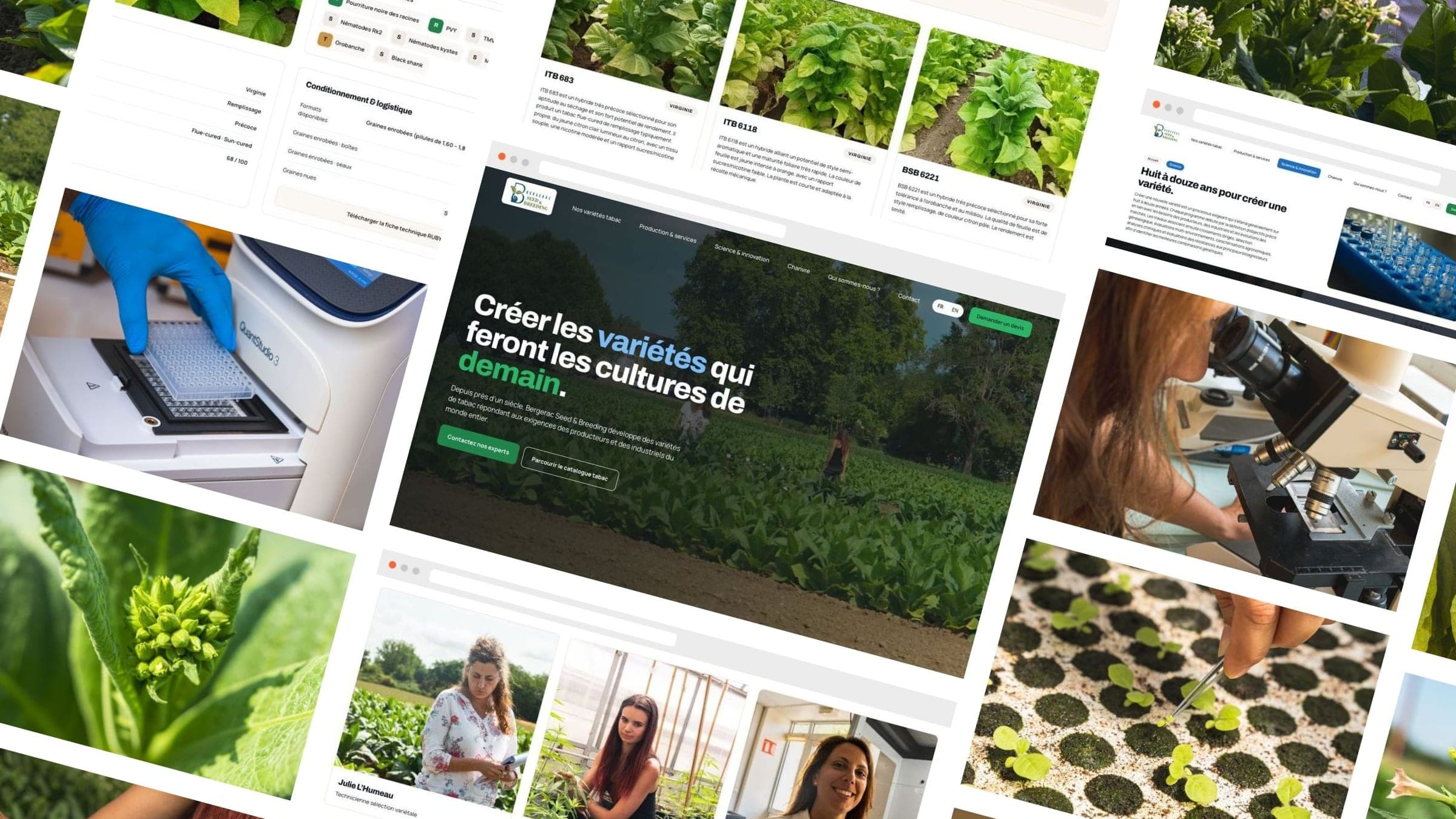 BERGERAC SEED & BREEDING