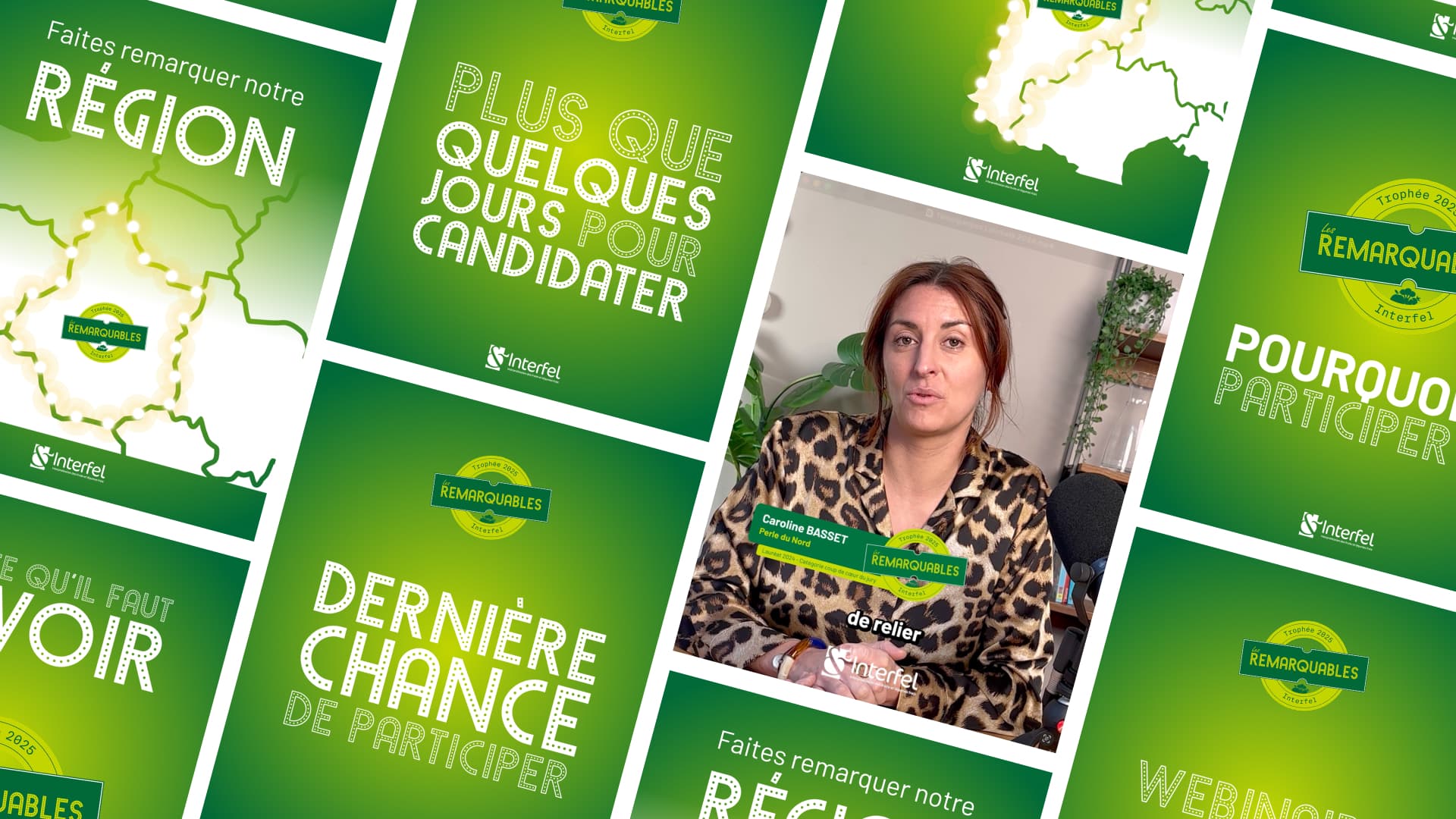 LES REMARQUABLES - INTERFEL